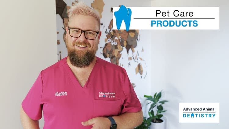 Best Pet Dental Care Products